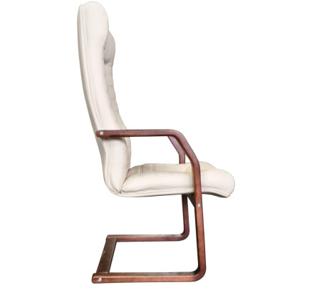 Орион ех pl искусственная кожа NAPPA 110 Орион ех pl искусственная кожа NAPPA 110