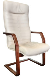 Орион ех pl искусственная кожа NAPPA 110